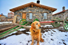 Hotels in Selim